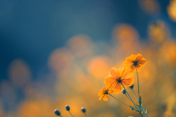 昆明长水机场到昆明高铁站有多远