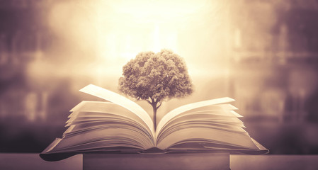 买轮胎哪个app更好