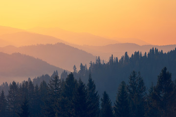 京oa是什么部门的车