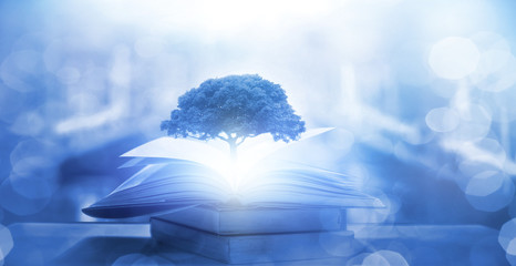 广汽丰田和一汽丰田什么区别啊