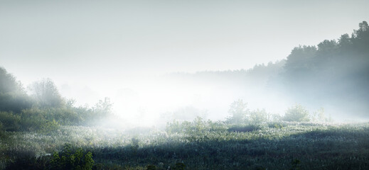 无级变速和7档双离合有什么区别？