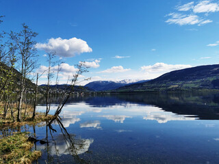 单桥拉25吨自卸车哪个牌子好。上蓝牌的