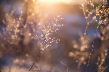 汽车仪表tpms是什么意思