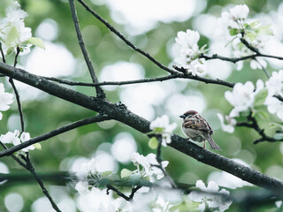 如何克服考试紧张心理？