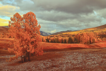 汽车360全景影像是什么意思？