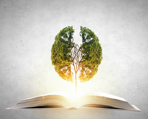 08年明锐能刷的隐藏功能