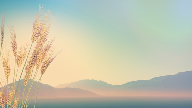 摩托车酒驾影响小车驾驶证吗-