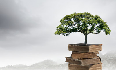 查询车牌是否被占用